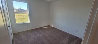 A bright room with soft carpet flooring and a large window.