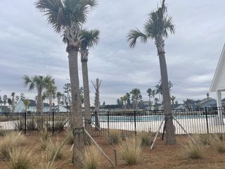 Community Amenities A scenic view of a community pool with palm trees in Waterside at Lakes of Cane Bay: Arbor Collection by Lennar (Summerville, SC).