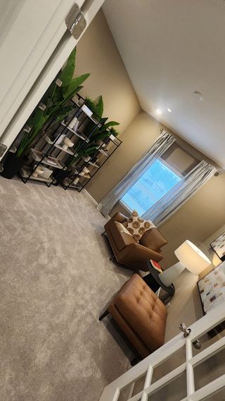 A stylish lounge with open shelving, accent seating, and natural lighting, perfect for relaxation or reading.