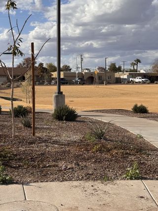 Charming landscaped pathway in Seasons at Trevino II by Richmond American Homes, set against a backdrop of sunny Glendale, AZ.