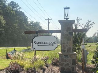 Street view Welcome to Saddlebrook by Smith Douglas Homes in Sherrills Ford, NC—charm and elegance in a scenic community setting.