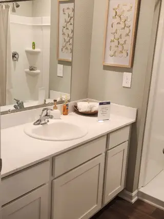 Model Home A cozy bathroom featuring a white vanity, sleek sink, framed art, and a spacious shower area.