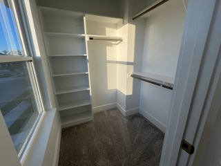 A bright walk-in closet with ample shelving and hanging space, featuring plush carpeting and natural light streaming in.