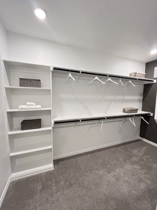 A spacious walk-in closet with open shelving, ample hanging space, and soft gray carpeting.