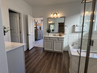 A serene bathroom with wood-look flooring, a spacious vanity, glass shower, and elegant lighting.