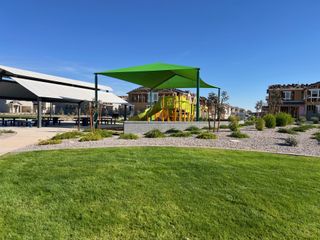 Community playground with vibrant green canopy and picnic area in Mandarin at Citrus Park by Landsea Homes (Goodyear, AZ).
