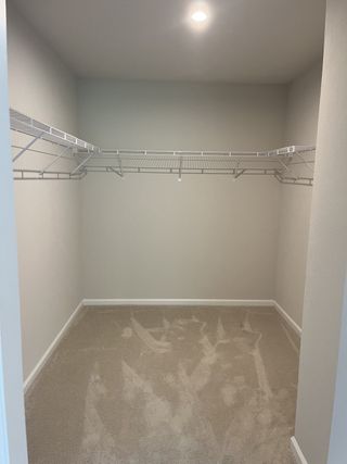 A spacious walk-in closet with plush carpeting, neutral walls, and ample wire shelving for storage.