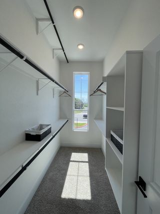 Bright walk-in closet featuring white shelving, carpeted floor, and natural light from a tall window.