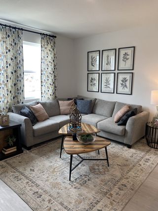 A cozy living room with a gray sectional, patterned curtains, botanical wall art, and a chic wooden coffee table.