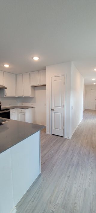 A sleek modern kitchen with white cabinetry, quartz countertops, and recessed lighting for a bright and open feel.