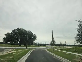 Street view A serene street view with lush greenery in Hammock Oaks Villas by Ryan Homes (Lady Lake, FL).