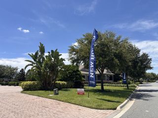 A beautifully landscaped neighborhood entry with palm trees in Waterleigh by D.R. Horton (Winter Garden, FL).