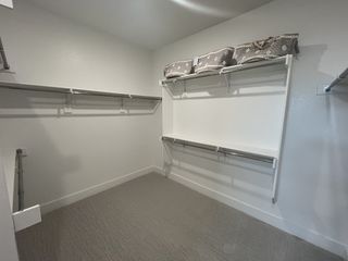 A spacious walk-in closet featuring ample shelving and neutral carpeting, ideal for organized storage.