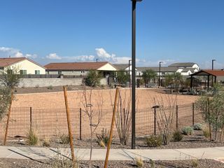 Community Amenities A tranquil community park with desert landscaping in Maple at North Copper Canyon by Courtland Communities (Surprise, AZ).