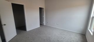 An empty room with soft gray carpet, two doorways, and bright natural light pouring through a window.