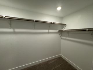 Model Home A spacious walk-in closet with ample hanging space and soft carpet flooring.