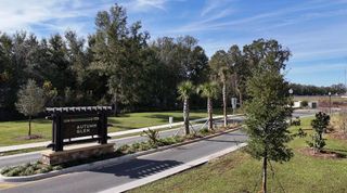Street view Charming entrance with lush greenery at Autumn Glen by D.R. Horton in Belleview, FL.