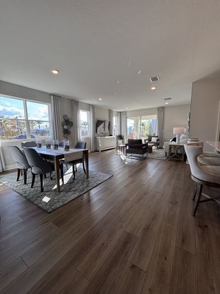 An open-concept living and dining area with wood floors, ample sunlight, and cozy seating creates a warm, inviting space.
