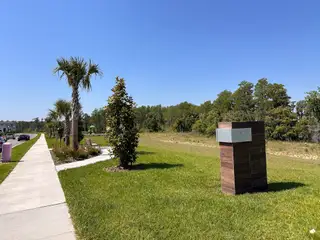 A serene park with palm trees and walking paths in the Encore at Ovation community by M/I Homes, Winter Garden, FL.
