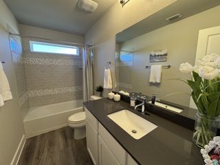 Model Home A chic bathroom with elegant tile accents, a sleek vanity, and stylish decor.