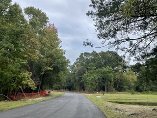 A scenic road through lush greenery in Waterloo Estates by Dream Finders Homes (Johns Island, SC).