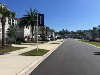A scenic residential street lined with elegant townhomes and tropical landscaping in Bridgewater by D.R. Horton (St. Augustine, FL).