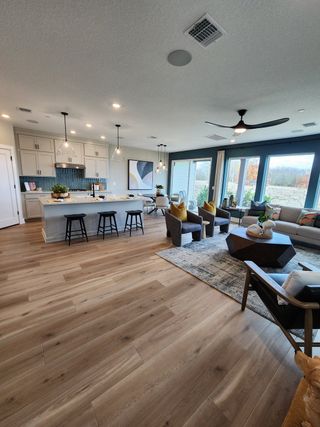 A spacious open-concept living area with natural light, wood floors, modern furniture, and sleek pendant lighting.