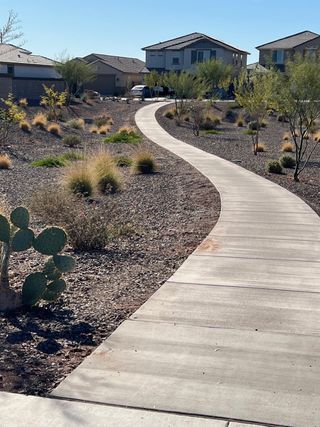 A scenic walkway through desert landscaping in Mason Ranch ll by D.R. Horton, Surprise, AZ, leading to modern homes.