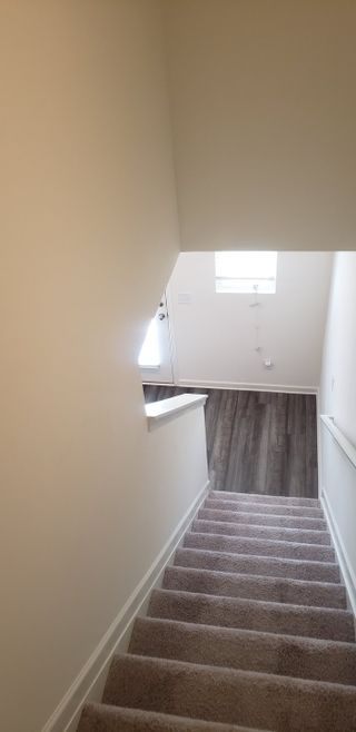A modern staircase with plush carpeting and wood-look flooring below, leading to a bright entryway with natural light.