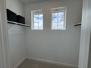 A bright walk-in closet with dual windows, white shelving, and soft carpet flooring.