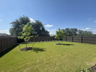 A spacious backyard with lush grass, young trees, and a wooden fence in Lively Ranch: Claremont Collection by Lennar (Georgetown, TX).
