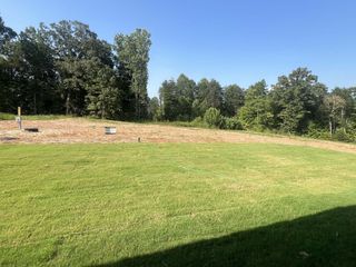 Street view A lush green lot with trees and open space in Saddlebrook by Smith Douglas Homes (Sherrills Ford, NC).