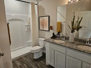 A modern bathroom featuring a dual-sink granite vanity, elegant decor, and a sleek walk-in shower.