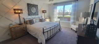 A cozy bedroom with a statement accent wall, modern lighting, and a large window bringing in plenty of natural light.