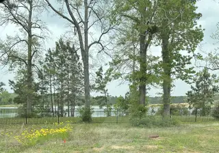 A serene lakeside view with lush trees and wildflowers at Lakes at Crockett Martin by Century Communities (Conroe, TX).
