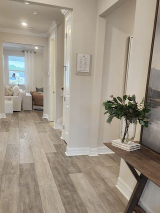 A stylish hallway featuring wood-look flooring, crown molding, and neutral decor, leading to the open living areas.