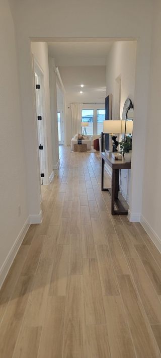 A bright hallway featuring wood-style flooring, modern decor, and an inviting view into the living area.