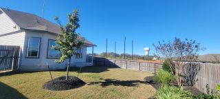 Charming backyard with a young tree and lush landscaping in Abbott Place by Legend Homes (St. Hedwig, TX).