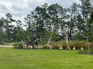 Community Amenities A scenic park with lush greenery and a playground in Harvest at Ovation - Townhomes by Rockwell Homes (Winter Garden, FL).