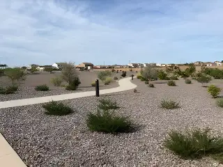 A scenic, desert landscape with a winding path in Combs Ranch Discovery Collection by Taylor Morrison (Queen Creek, AZ).