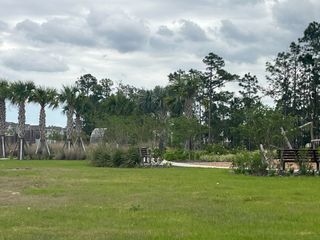 Community Amenities A lush park with palm trees and greenery in Harvest At Ovation 50s by Rockwell Homes (Winter Garden, FL).
