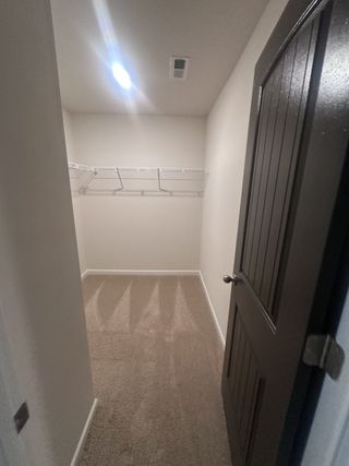 Model Home A large walk-in closet with ample shelving and soft carpeting in Dacula, GA.