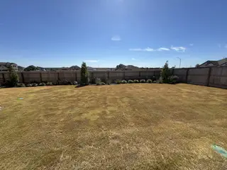 Expansive fenced backyard with lush lawn and young trees in Nolina by Chesmar Homes (Georgetown, TX).