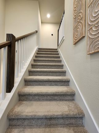 A modern staircase with plush carpeting, sleek railing, and artistic wall decor creates a warm and inviting ascent.
