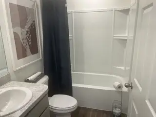 A modern bathroom with a sleek tub, abstract art, and navy curtain, blending style and function effortlessly.