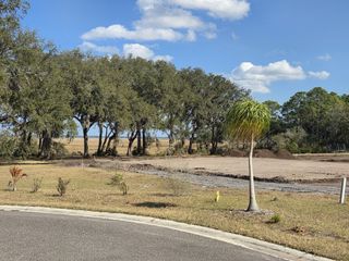 Expansive lot with lush trees and open sky in Edwards Creek Estates by SEDA New Homes (Jacksonville, FL).