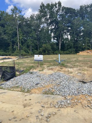 A serene plot with lush trees, perfect for a Dream Finders Homes project in Sweetgrass Station, Summerville, SC.