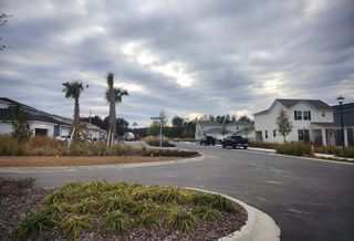 A scenic suburban street with palm trees in Hawthorn Park at Wildlight by Pulte Homes, Wildlight, FL.