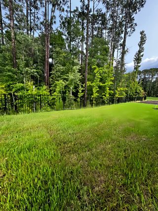 A serene backyard with lush green grass and tall pine trees in Anabelle Island - Executive Series by KB Home (Green Cove Springs, FL).