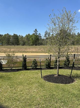A lush green yard with young trees and a fence in Mavera by Meritage Homes (Conroe, TX).
